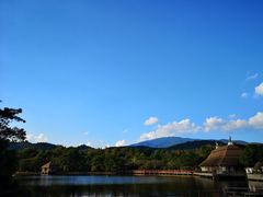 -清迈夜间动物园