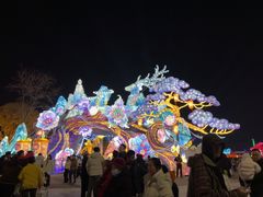 -淄博花灯齐彩城