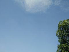 -火炉山森林公园