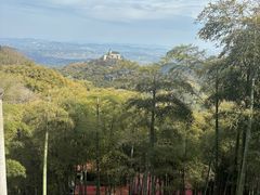 -莫干山风景区