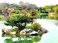 -扬州古运河