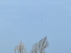 -青海湖二郎剑景区