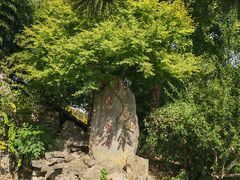 -戏马台景区
