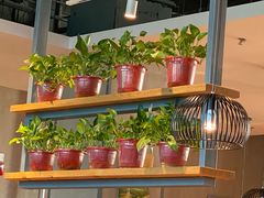 -比格比萨自助(国展店)