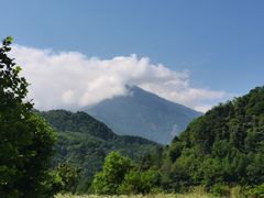 -卧龙中华大熊猫苑神树坪基地