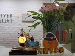 -艾薇芭蕾艺术中心