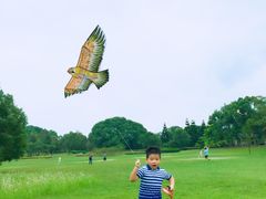 -福建鲤鱼洲酒店