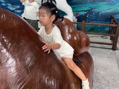 -蓬莱欧乐堡海洋极地世界