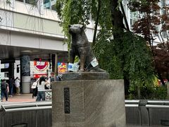 -涩谷全向十字路口