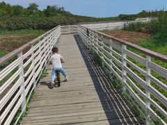 -春花秋色城市公园
