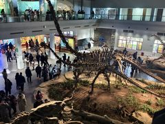 -自贡恐龙博物馆