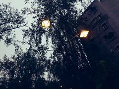 -四川大学(望江校区)