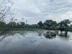 -无锡蠡湖国家湿地公园-蠡园