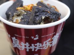 黑色经典长沙臭豆腐-黑色经典臭豆腐·湖南特产(坡子街特产局店)