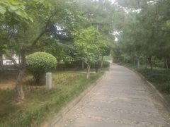 -韩城古城