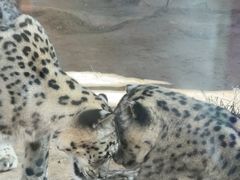 -青藏高原野生动物园
