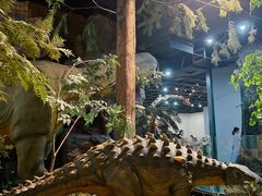 -浙江自然博物院(杭州馆)