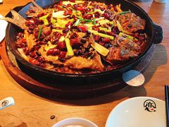 -老板恋上鱼(恒隆广场店)