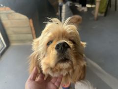 -美家乐农庄·露营·团建(大治路店)