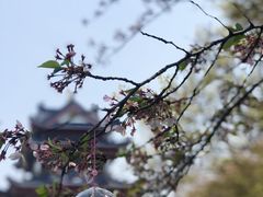 -君来湖滨饭店·玫瑰园