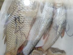 -老码头黑皮肘子锅包肉熏酱水饺(文政街店)
