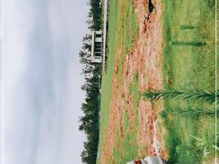 -盘龙城国家考古遗址公园