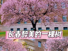-吉林大学(新民校区)