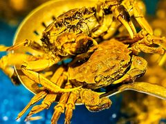 -亚马逊蒸汽活海鲜自助(LCM置汇旭辉广场店)