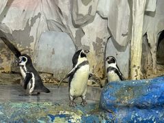 -太平洋海底世界