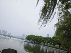 -天鹅湖体育公园