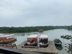 -东寨港红树林旅游区