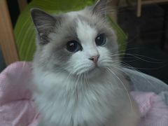 -府学·秋果S酒店(北京南锣鼓巷四合院店)