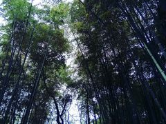 景点-杭州黄龙洞