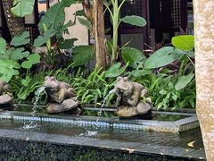 -呀诺达热带雨林