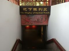 -洛阳古墓博物馆