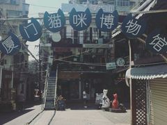 -猫咪博物馆(顶澳仔猫街店)
