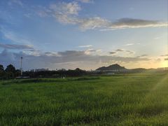 -光明小镇欢乐田园