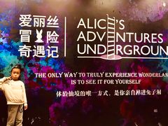 -爱丽丝冒险奇遇记