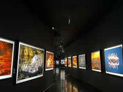 -罗红摄影艺术馆