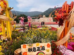 -北京十三陵国家森林公园蟒山景区