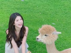 -银树楼(紫玉山庄东区店)