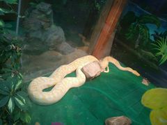 android_upload_pic-上海大自然野生昆虫馆