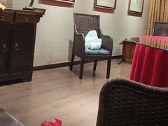 -金枝玉叶上海人家食府(三里河店)