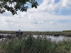 -南大港湿地风景区