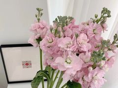 -WEDGWOOD(北京SKP店)