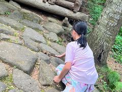 -五营红松林海景区