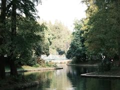 -上海共青森林公园