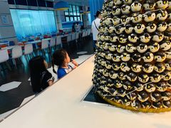 -帝企鹅自助餐厅•儿童岛•真企鹅(长隆企鹅酒店)