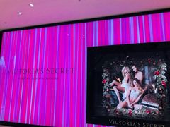 -Victoria's Secret(苏州中心全品类店)