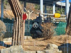 -大连森林动物园